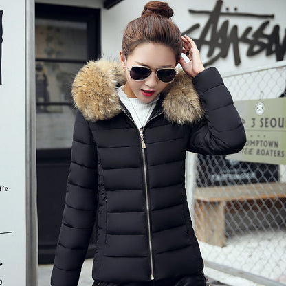 Lovely Comfy Women's Slim Cotton Padded Jacket Coat 2023 Black 3XL