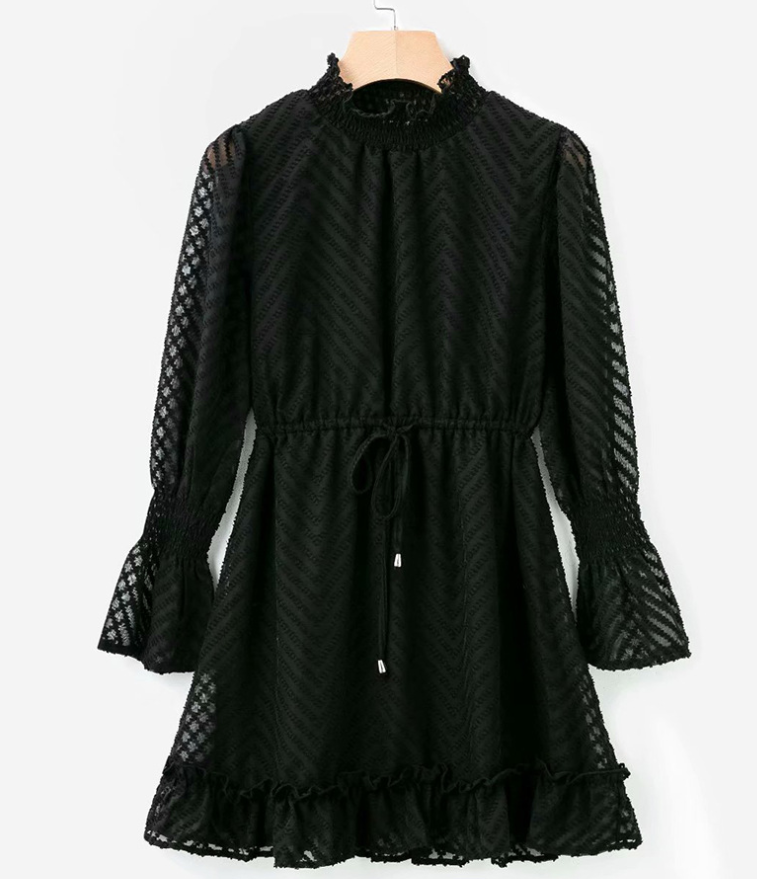 Lovely Women's High collar Black Transparent Stripes Long Sleeve Dress