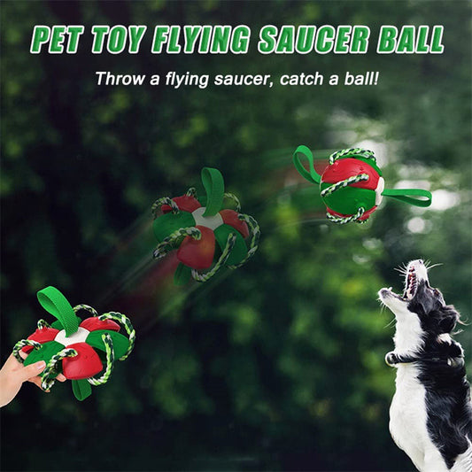 Interactive Dog Football Soccer Ball With Tabs Inflated Training Toy Balls