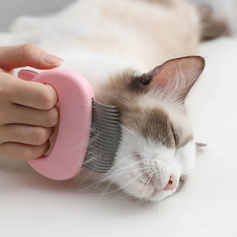 Cat Brush Pet Massage Brush Shell Shaped Handle Pet Grooming Massage Tool To Remove Loose Hairs Only For Cats Pet accessories