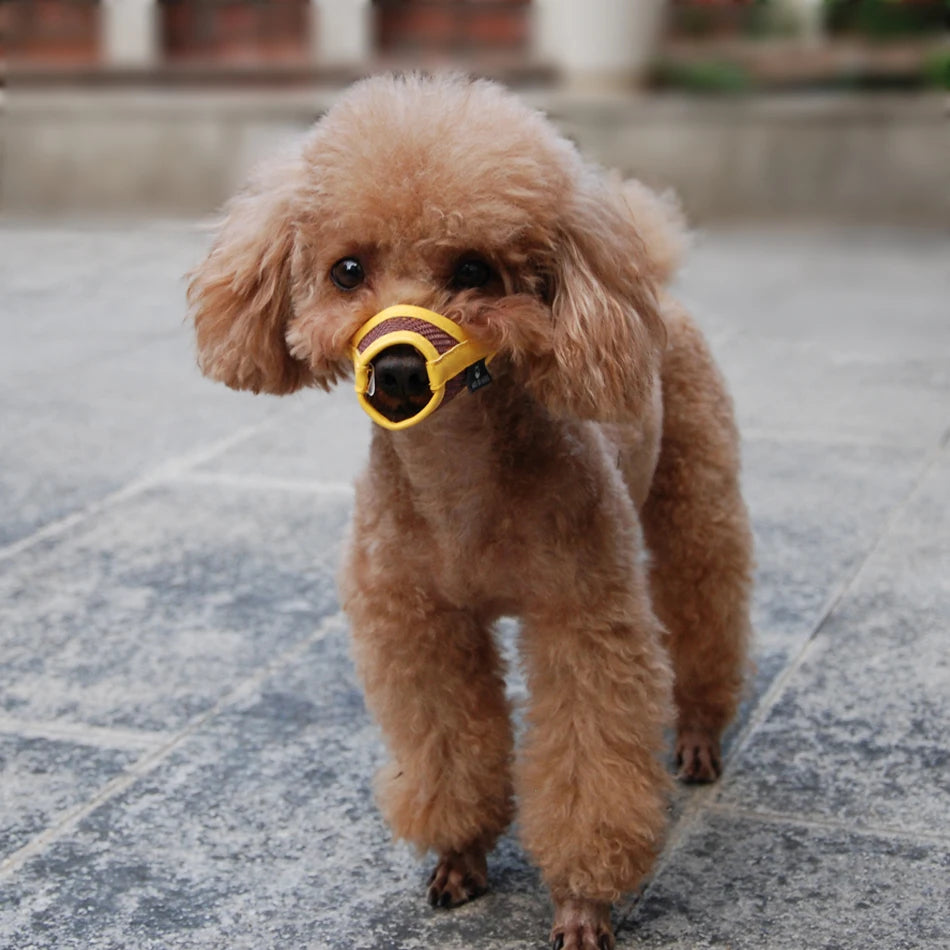 Dog Muzzle Puppy Small Medium Large dog Leatherette Nylon Mesh Muzzle Pet muzzle