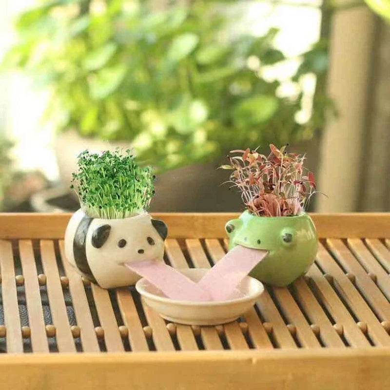 Cute Penguin/Frog/Pig/Polar Bear/Cat Ceramic Flower Pot Small Cartoon Planter Succulent Pots Bonsai Cactus Pot Home Garden Decor