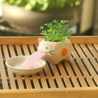 Cute Penguin/Frog/Pig/Polar Bear/Cat Ceramic Flower Pot Small Cartoon Planter Succulent Pots Bonsai Cactus Pot Home Garden Decor cat