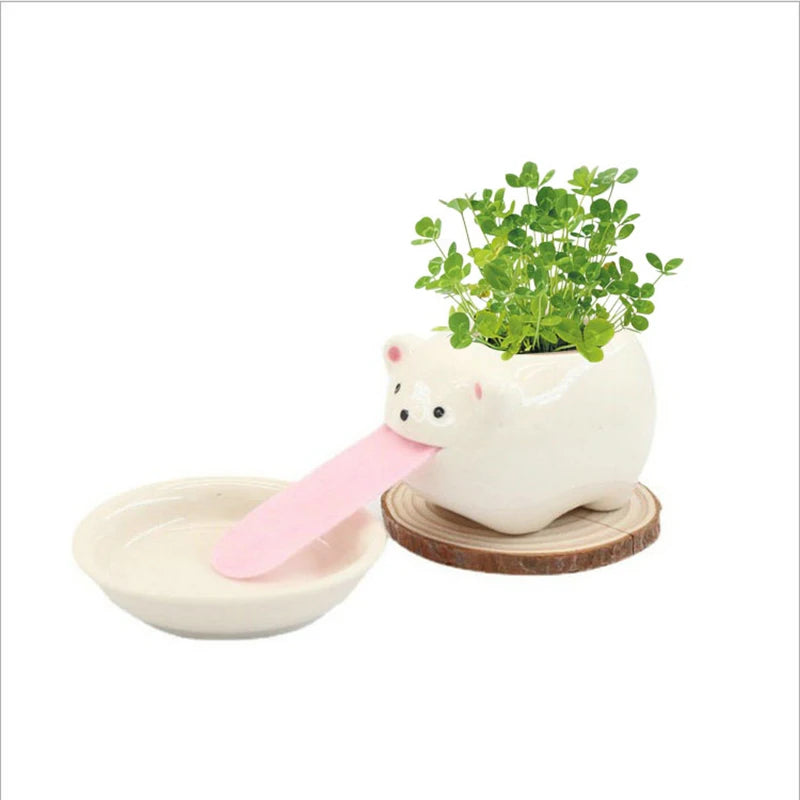 Cute Penguin/Frog/Pig/Polar Bear/Cat Ceramic Flower Pot Small Cartoon Planter Succulent Pots Bonsai Cactus Pot Home Garden Decor