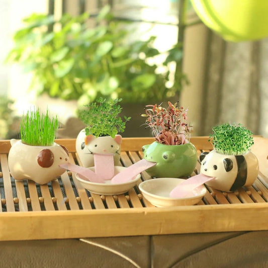 Cute Penguin/Frog/Pig/Polar Bear/Cat Ceramic Flower Pot Small Cartoon Planter Succulent Pots Bonsai Cactus Pot Home Garden Decor