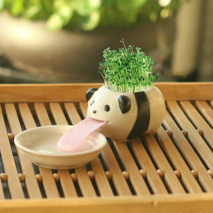 Cute Penguin/Frog/Pig/Polar Bear/Cat Ceramic Flower Pot Small Cartoon Planter Succulent Pots Bonsai Cactus Pot Home Garden Decor panda