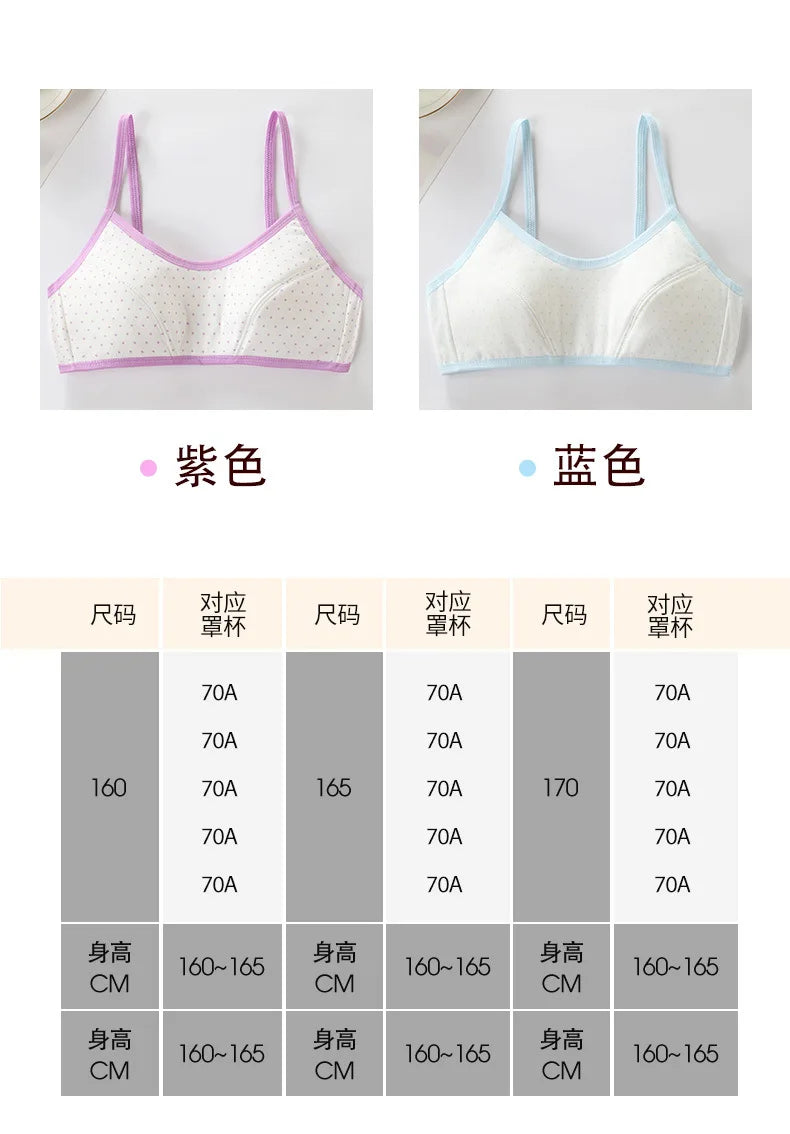 Girls Brassiere Cotton Underwear Back Buckle Design Adolescent Girls Training Bras Breathable Teenage Girl Tops Bra